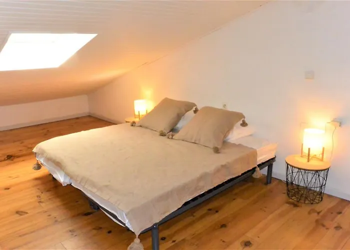 Canella 5 Appartement Favone